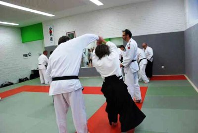 Aikido 2011 (31).jpg