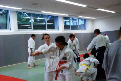 Aikido 2011 (4).jpg
