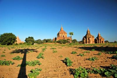 Bagan and surroundings
