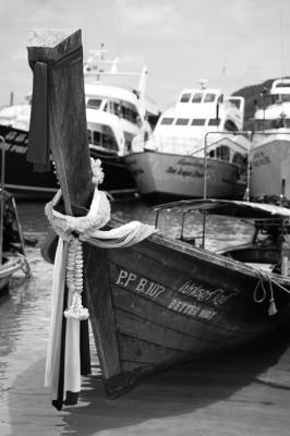 DSC_0102