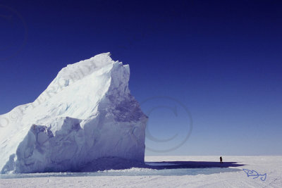 112-iceberg715.03.jpg