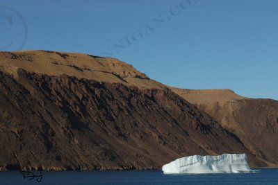 140-6010818_3271.jpg