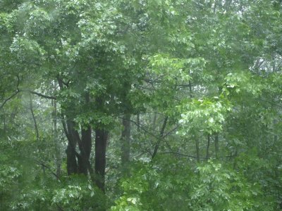 Hurricane Irene Begins