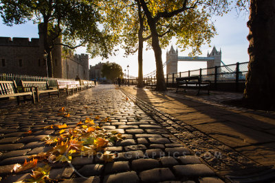 Tower Hill Morning, London