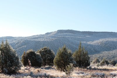 IMG_4693.JPG