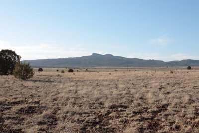 IMG_5294.JPG