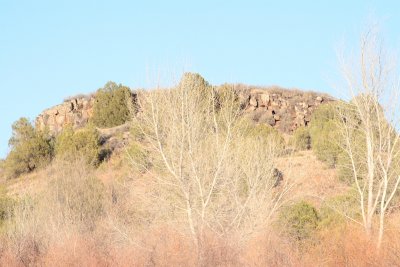 IMG_5315.JPG
