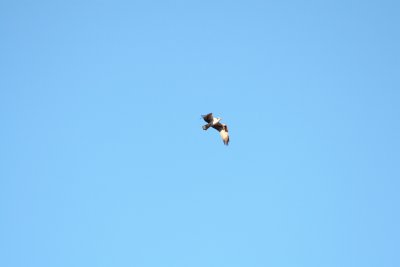 IMG_5320.JPG