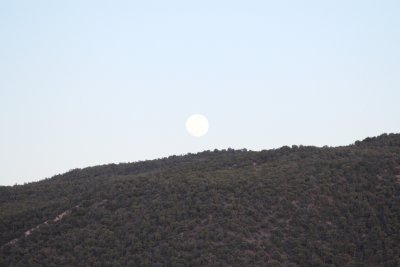IMG_5336.JPG