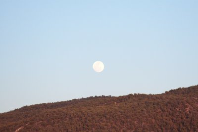 IMG_5339.JPG