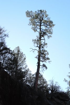 IMG_5345.JPG