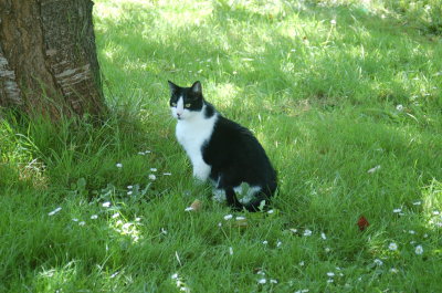 Robin,  July ought 12