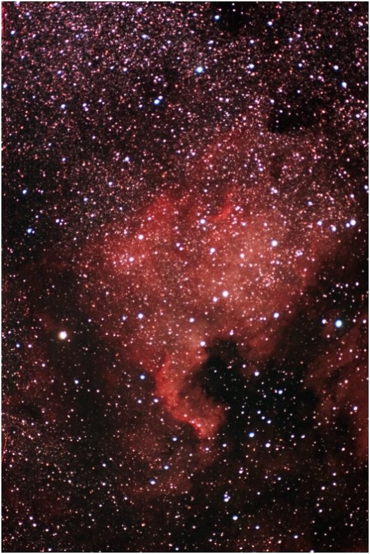 The North America Nebula in Cygnus