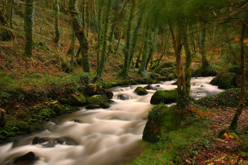 Long exposure on a windy day, River Par, Pontsmill