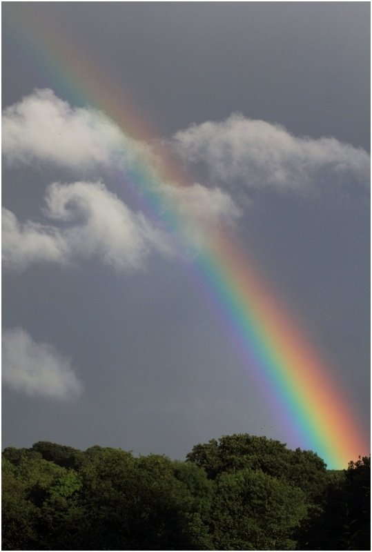 Rainbow & Cloud Swirl