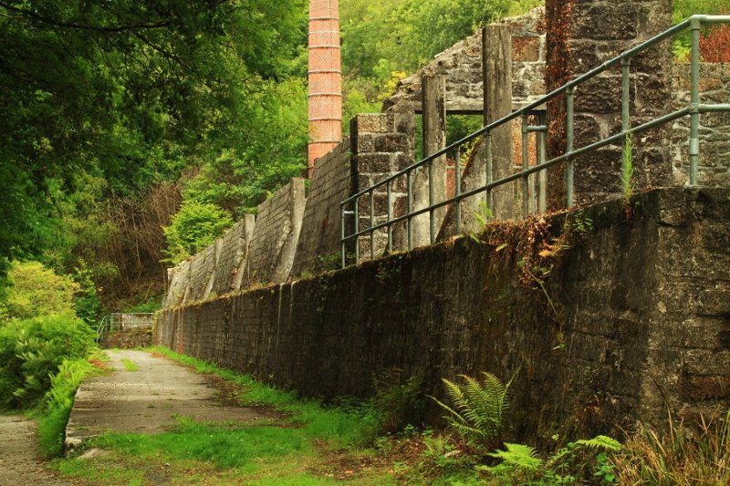Derelict clay dries, Pontsmill