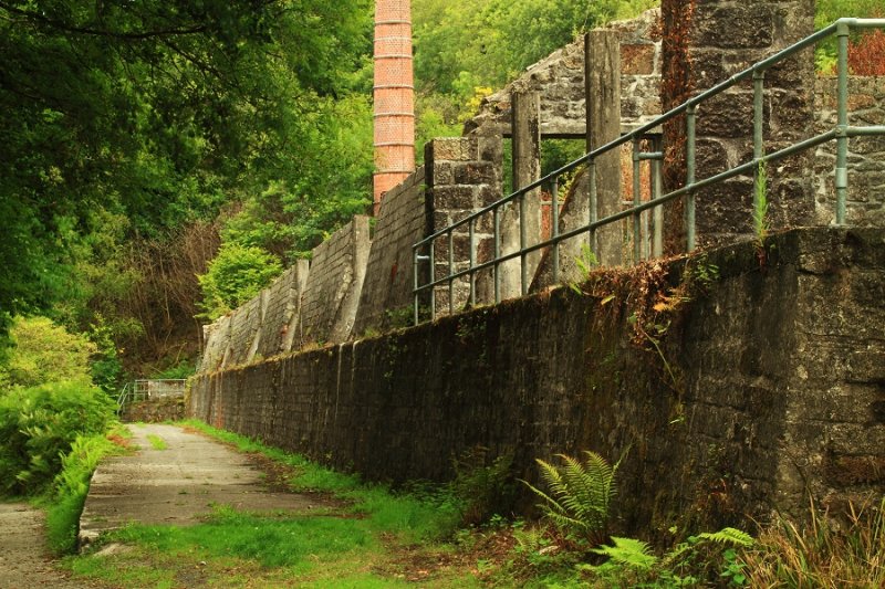 Derelict clay dries, Pontsmill