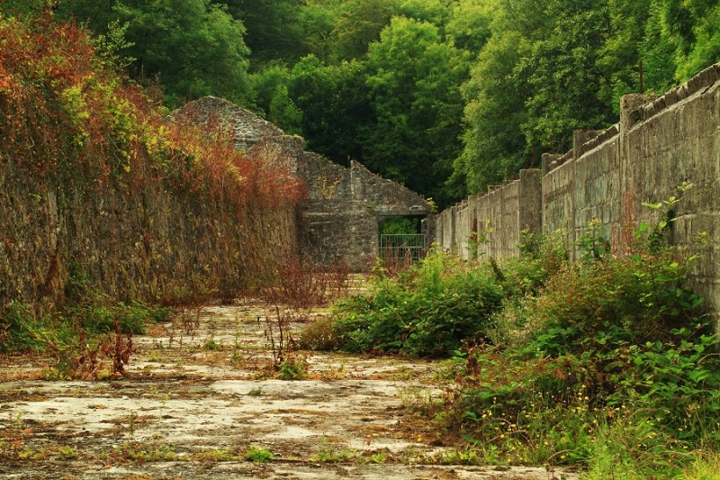 Derelict clay dries, Pontsmill