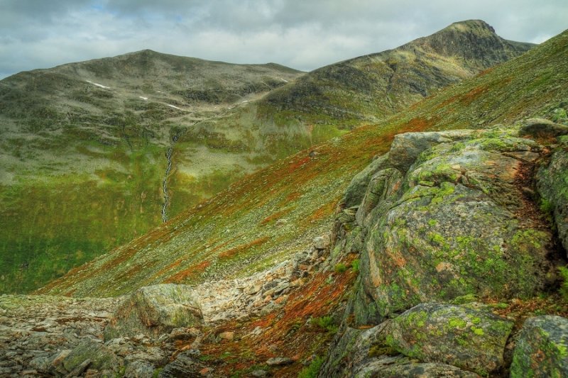 Rock, moss & lichen - Vesleskala (1240m)