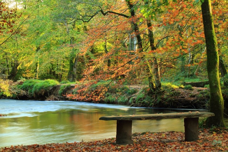 Nice place to sit on an Autumn afternoon