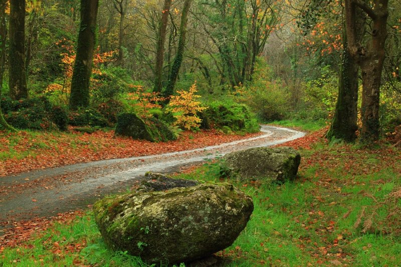 Luxulyan Valley route, Autumn