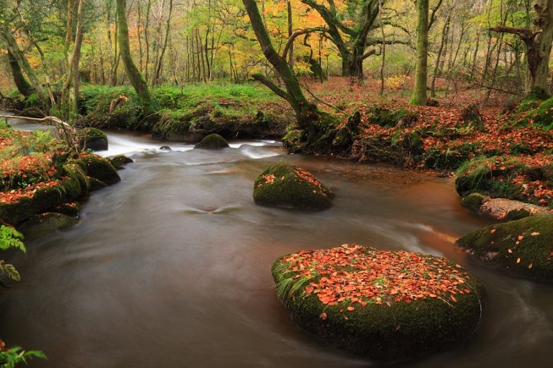 Par River, Luxulyan