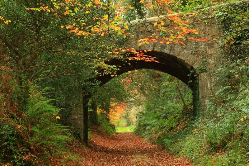 Autumn on the Carmears Incline path, Pontsmill