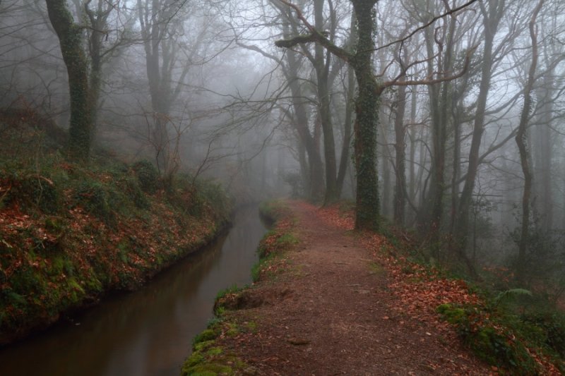 A foggy evening in the valley