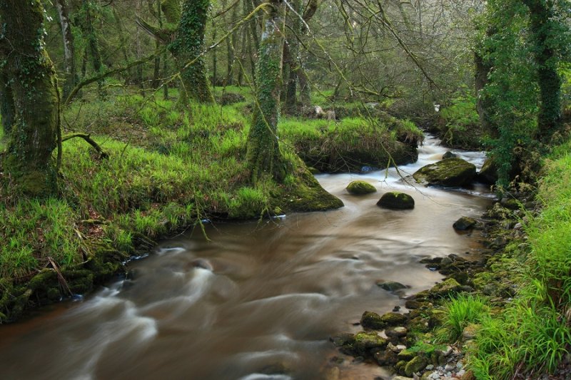 River Par, Pontsmill