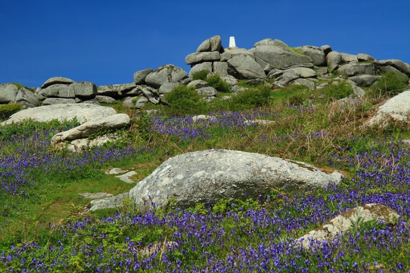 Blue Skies & Bluebells, Helman Tor