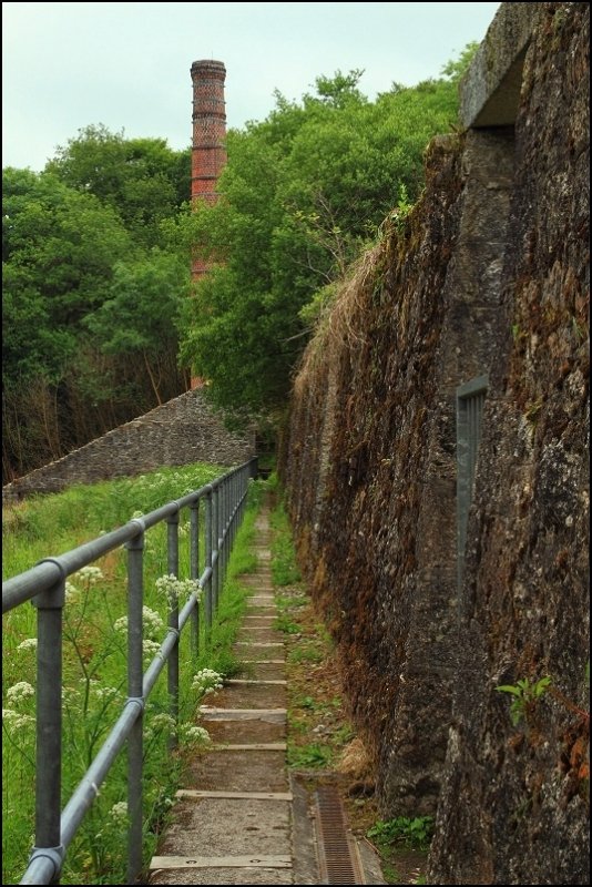 Derelict clay dries, Pontsmill