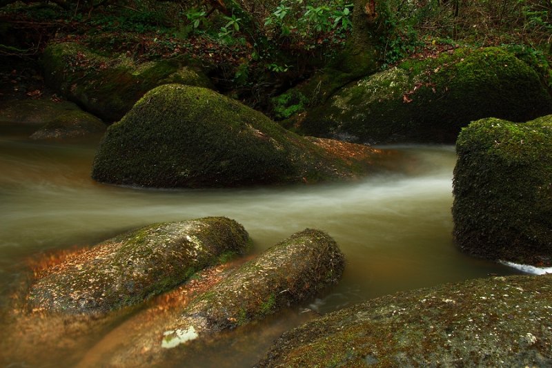 Stream in Luxulyan Valley