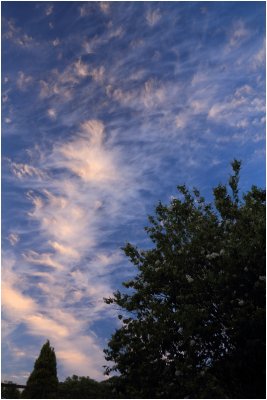 Spectacular cirrus at sunset -  13 June 2011