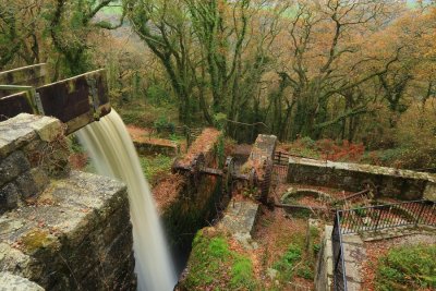 The old waterwheel pit, Luxulyan Valley