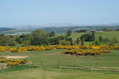 Image015.jpg