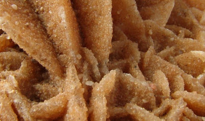 Gypsum Desert Rose Detail