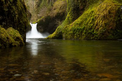 Oregon 2011