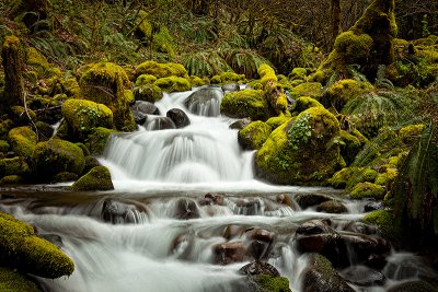 Dans les gorges du fleuve Columbia