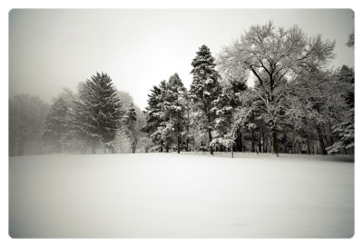 Winter field