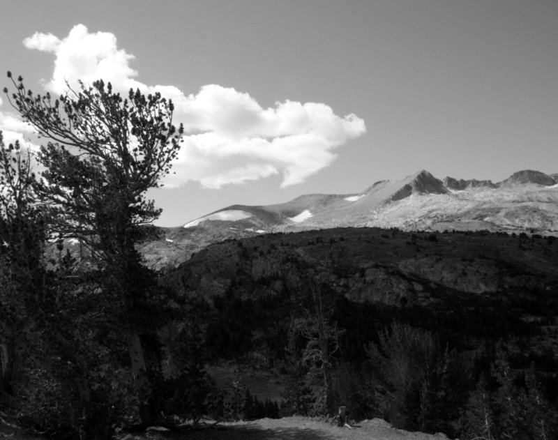 Tioga Pass White Face