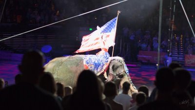 _MG_4674.jpg