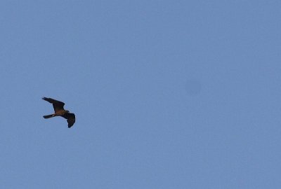 g4/95/896295/3/137878554.hIb1UQ4M.jpg