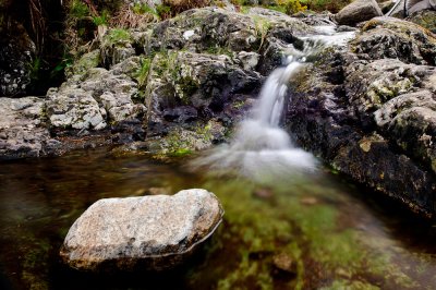 DSC_8220.jpg