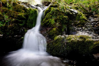 DSC_8242-Edit.jpg