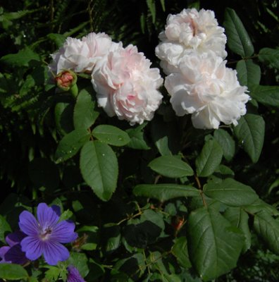 g4/95/940495/3/136468163.9bkAzsqJ.jpg