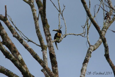 costa_rica_2011