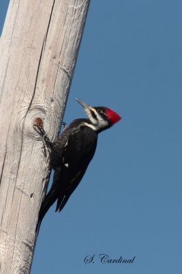 2012 Grand pic 01 a.JPG