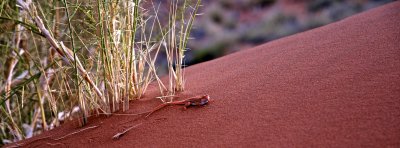 DSC_2143.jpg