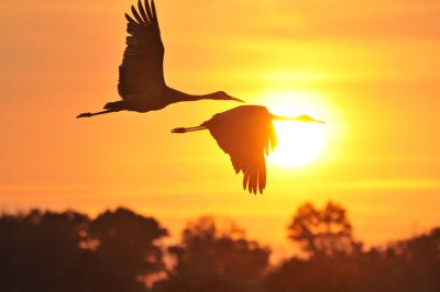 Crex Meadows Aug 23-24