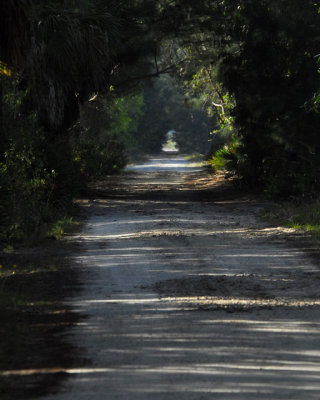 February 15, 2012, Pine Island, Florida